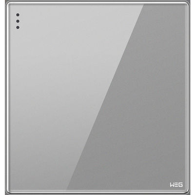 Prise fixée au mur de prise du gris W81Q/1Y USB