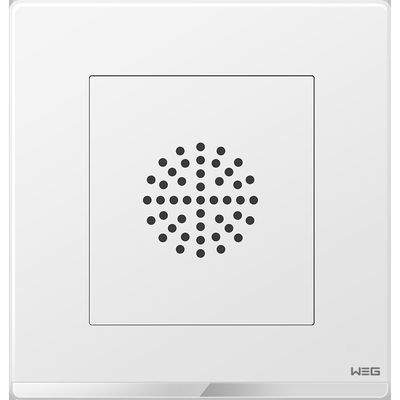 Anti prise fixée au mur épaisse de prise de la plaque d'acier W7SG 250V 10A de rouille