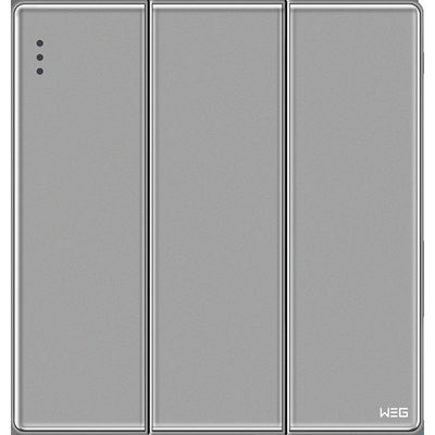 Prise murale électrique du gris W83Q/2Y de plaque d'acier